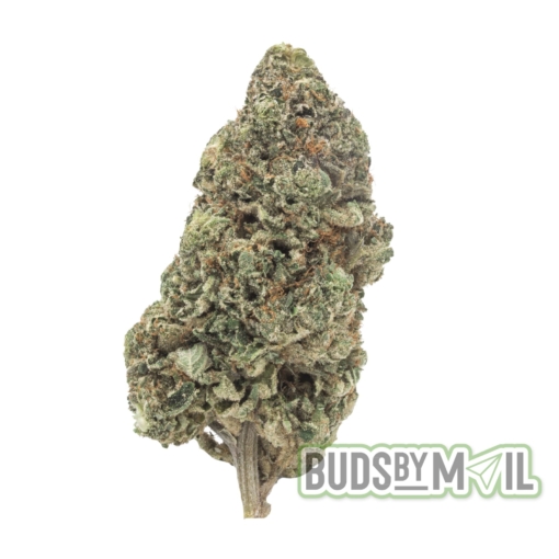 MK Ultra (AAAA) - Image 2