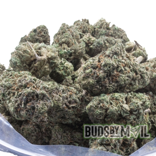 MK Ultra (AAAA) - Image 3