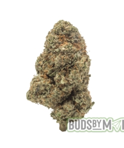 updated picture of gorilla cookies. September 2024 batch