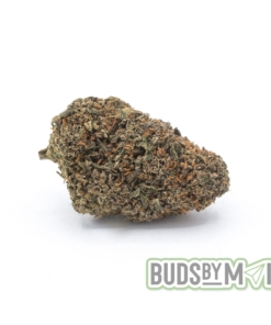 Indica Strain LA Kush Cake