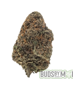 Indica Strain LA Kush Cake