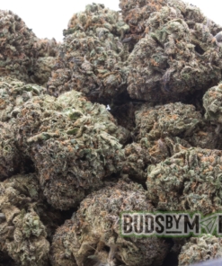Indica Strain LA Kush Cake