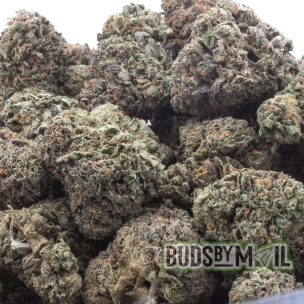 Indica Strain LA Kush Cake