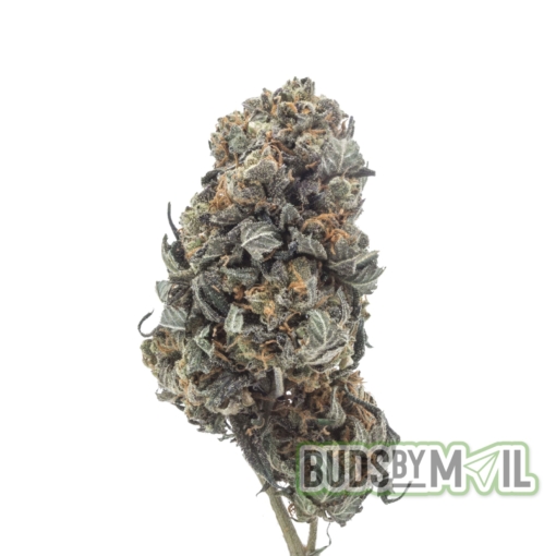 Sour Diesel (AA) - Image 2