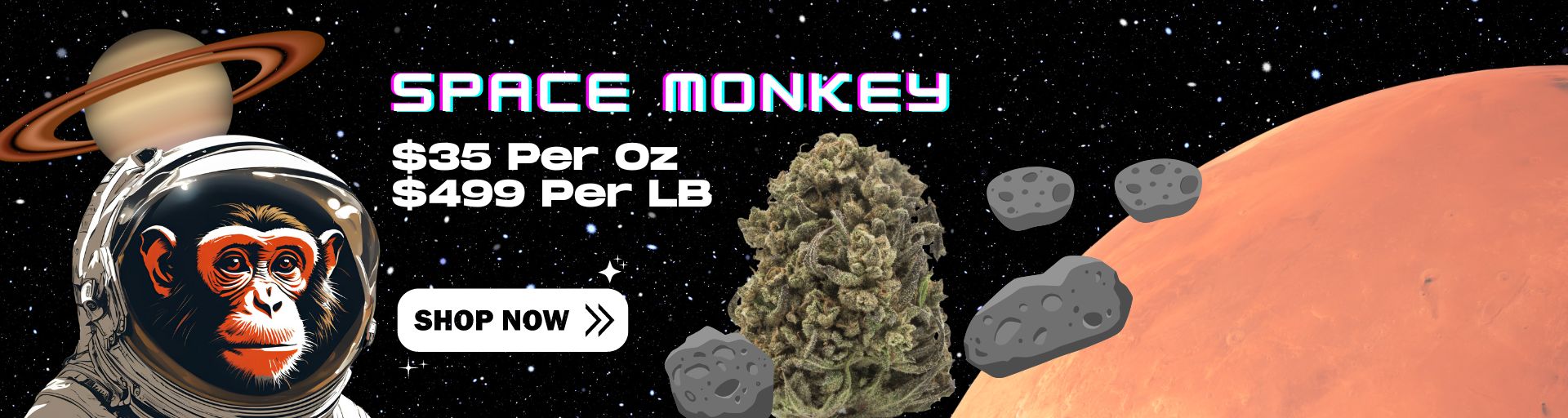 Home Page Banner for Space Monkey