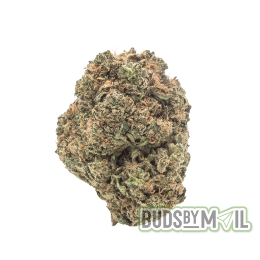 High-resolution image of a single Tangie cannabis bud floating against a white background, showcasing its vibrant green color, bright orange pistils, and a thick coating of frosty trichomes.