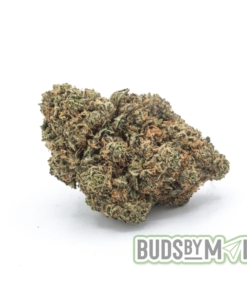 lose-up photo of Tangie cannabis buds on a wooden surface, showcasing vibrant green hues with orange pistils and a frosty trichome coating, emitting a bright citrus aroma