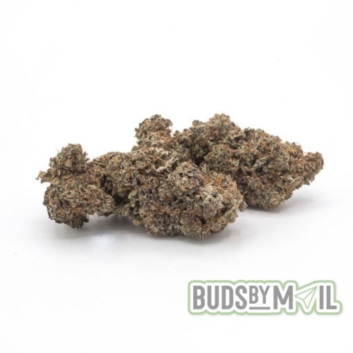 Ice Cream Cake – LSO – Figgly’s Farm (Premium) - Image 2