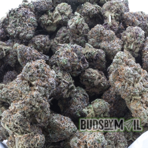Ice Cream Cake – LSO – Figgly’s Farm (Premium) - Image 3