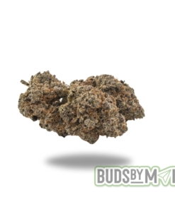 Close-up image of Nutter Butter cannabis strain displaying dense, frosty buds with a mix of green hues and vibrant orange pistils. The photo captures the strain’s nutty and buttery aroma profile, emphasizing its smooth, creamy smoke and balanced effects, ideal for relaxation and stress relief.
