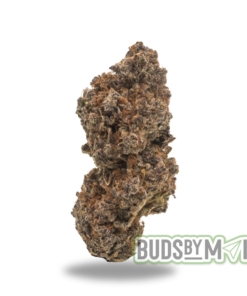 Close-up image of Nutter Butter cannabis strain displaying dense, frosty buds with a mix of green hues and vibrant orange pistils. The photo captures the strain’s nutty and buttery aroma profile, emphasizing its smooth, creamy smoke and balanced effects, ideal for relaxation and stress relief.