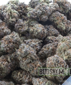 Open bag containing Nutter Butter cannabis, clearly labeled to showcase the strain's name. The bag is filled with dense, frosty nugs characterized by their green color and vibrant orange pistils, emphasizing the strain's nutty and sweet buttery aroma. Ideal for highlighting its quality and unique flavor profile.