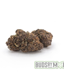 Close-up of a Rockstar Purple marijuana nug, showcasing its deep purple buds and dense structure coated with sparkling trichomes. The image highlights the strain's rich color palette and its enticing earthy and berry aroma, ideal for conveying its potent, relaxing effects