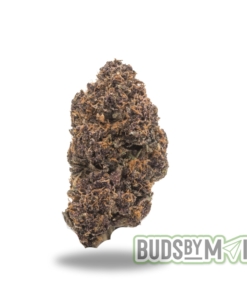 Close-up of a Rockstar Purple marijuana nug, showcasing its deep purple buds and dense structure coated with sparkling trichomes. The image highlights the strain's rich color palette and its enticing earthy and berry aroma, ideal for conveying its potent, relaxing effects