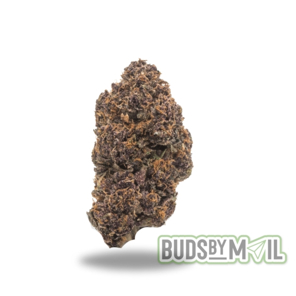 Close-up of a Rockstar Purple marijuana nug, showcasing its deep purple buds and dense structure coated with sparkling trichomes. The image highlights the strain's rich color palette and its enticing earthy and berry aroma, ideal for conveying its potent, relaxing effects