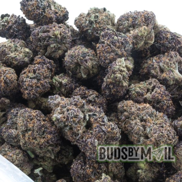 Transparent bag filled with Rockstar marijuana nugs, prominently displaying the dense, purple-hued buds covered in a thick layer of trichomes. The bag is labeled clearly, showcasing the strain's name and enhancing its visual appeal as a potent, high-quality cannabis product.