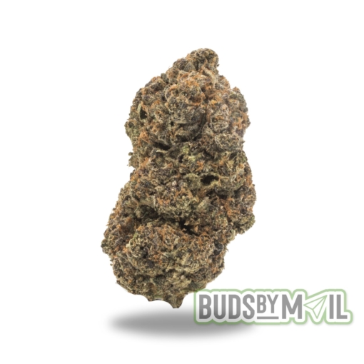 Zkittlez – LSO – Figgly’s Farm (Premium)