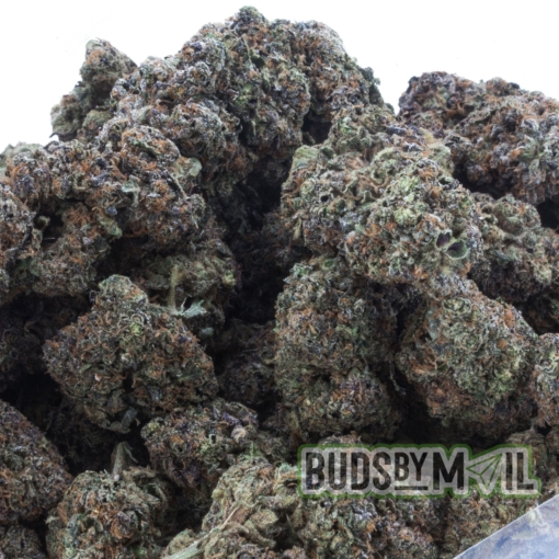 Zkittlez – LSO – Figgly’s Farm (Premium) - Image 3