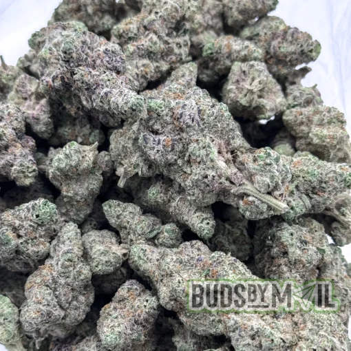 Frumpz – LSO – Figgly’s Farm (Premium) - Image 2