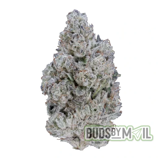 Baby Yoda – LSO – Figgly’s Farm (AAA)