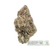 Cereal Milk single bud