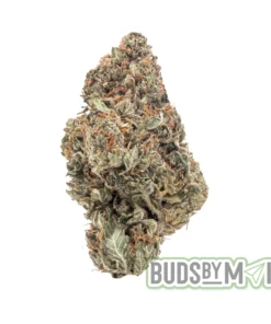 Cereal Milk single bud