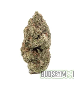Coconut Runtz single bud
