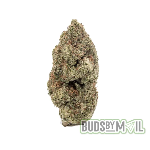 Coconut Runtz single bud