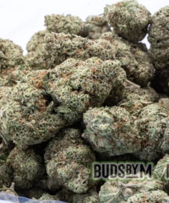 Coconut Runtz full bag