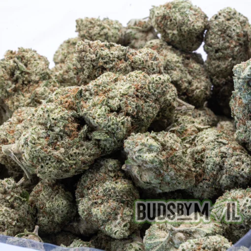Coconut Runtz full bag