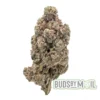 Donkey Dawgs single bud
