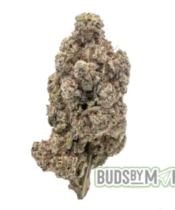 Donkey Dawgs single bud