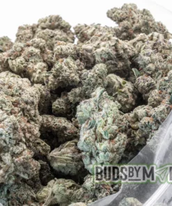 Donkey Dawgs full bag