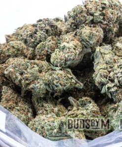 Grease Monkey full bag