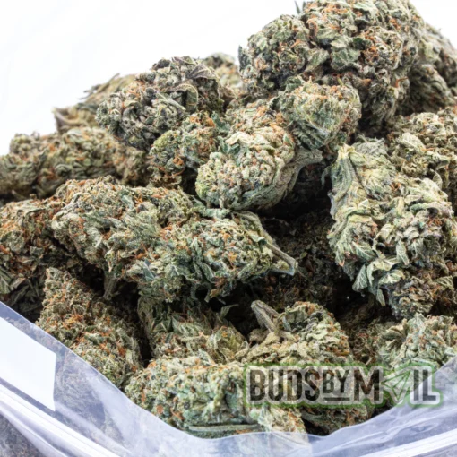 Grease Monkey full bag
