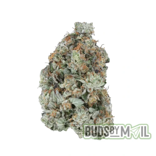 Pink Tuna single bud